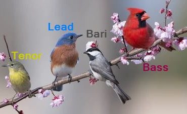 Help Spread The Harmony!